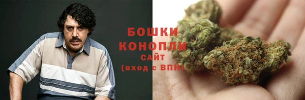 дурь Арсеньев