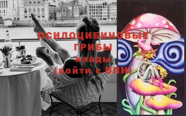 дурь Арсеньев