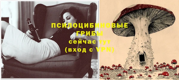 дурь Арсеньев